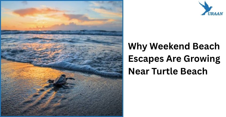 Why Weekend Beach Escapes Are Growing Near Turtle Beach