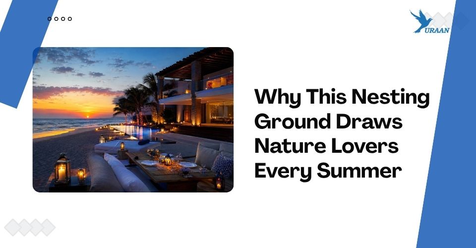 Why This Nesting Ground Draws Nature Lovers Every Summer